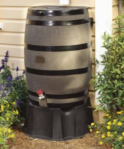 Browneye.shop012ef41f34 1