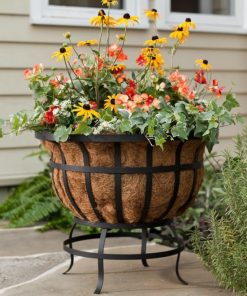 Browneye.shop0af45d06f3 1