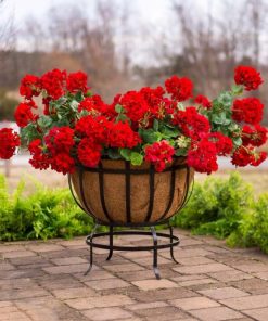 Browneye.shop0af45d06f3 2