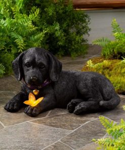 Browneye.shop0caa74dedc 1