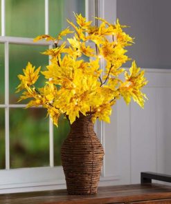 Browneye.shop1bdcf797b8 1