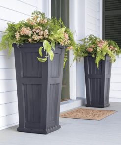 Browneye.shop343fdcd10f 1