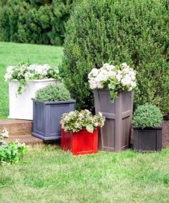 Browneye.shop3f162a418e 1