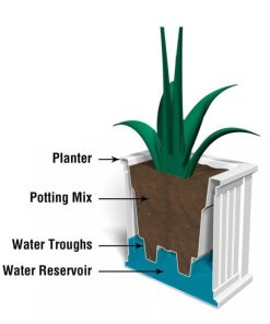 Browneye.shop3f162a418e 2