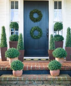 Browneye.shop3fc72a9863 1