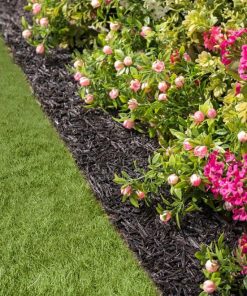 Browneye.shop405798ba31 1