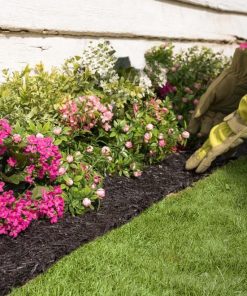 Browneye.shop405798ba31 2