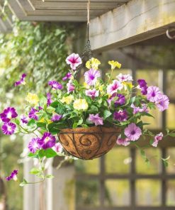 Browneye.shop423f3268b9 1