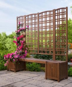 Browneye.shop75411e8e39 1