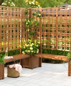 Browneye.shop75411e8e39 2