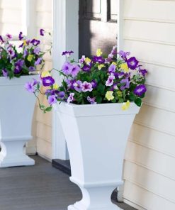 Browneye.shop7f7c81d336 1