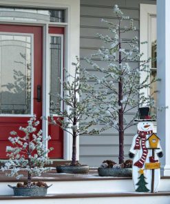 Browneye.shop805ac41643 1