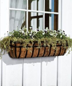 Browneye.shop84e4bfaeb2 1