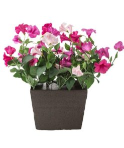 Browneye.shopab51c79775 1