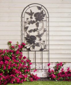 Browneye.shopb6dc370a54 1