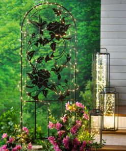 Browneye.shopb6dc370a54 2