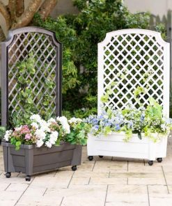 Browneye.shopba1c2eaf85 1