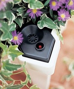 Browneye.shopba1c2eaf85 2