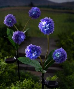 Browneye.shopc0f18d2e1d 1