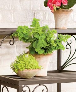 Browneye.shopcd619e05ba 2