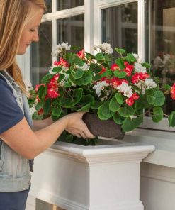 Browneye.shopd2e7712d8a 1