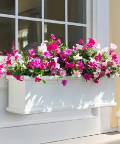 Browneye.shopd4f0f45a6b 1