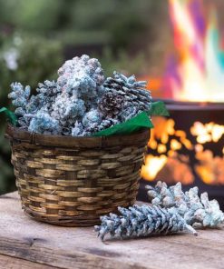 Browneye.shopd8e6d61493 1