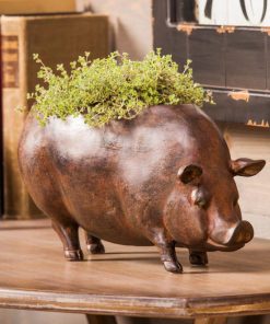 Browneye.shopda71166113 1